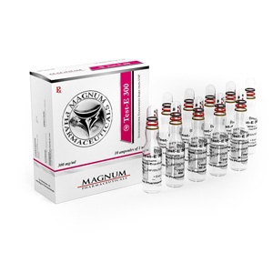 Buy Testosterone enanthate at Deutscher Online Katalog | Magnum Test-E 300 Online