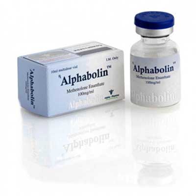 Buy Methenolone enanthate (Primobolan depot) at Deutscher Online Katalog | Alphabolin (vial) Online