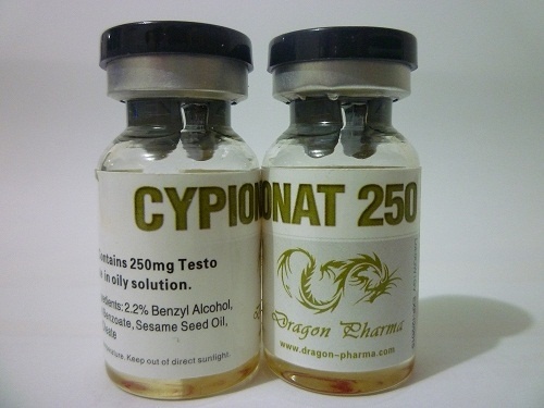 Buy Testosterone cypionate at Deutscher Online Katalog | Cypionat 250 Online