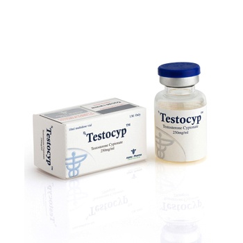 Buy Testosterone cypionate at Deutscher Online Katalog | Testocyp vial Online