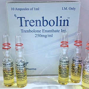 Buy Trenbolone enanthate at Deutscher Online Katalog | Trenbolin (ampoules) Online